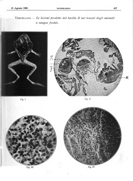 Pathologica rivista quindicinale