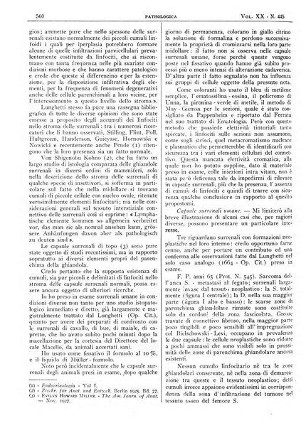 Pathologica rivista quindicinale