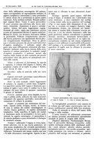 giornale/CFI0361052/1928/unico/00000715