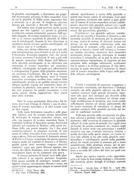 Pathologica rivista quindicinale