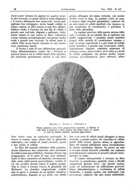 Pathologica rivista quindicinale