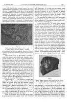 giornale/CFI0361052/1929/unico/00000177