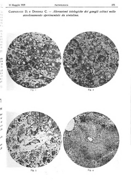 Pathologica rivista quindicinale