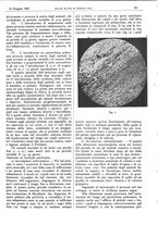 giornale/CFI0361052/1929/unico/00000365