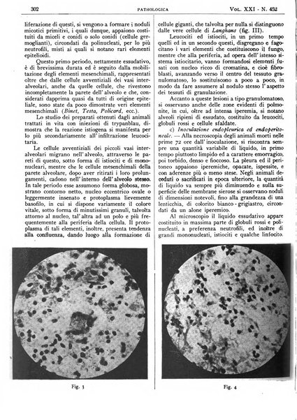 Pathologica rivista quindicinale