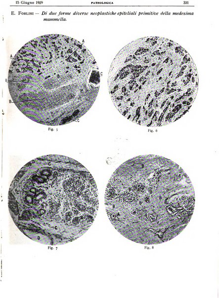 Pathologica rivista quindicinale