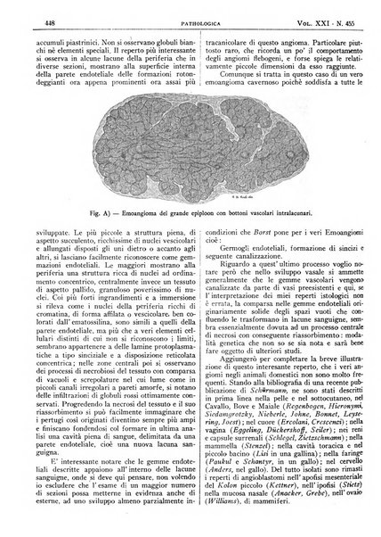 Pathologica rivista quindicinale