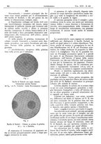 giornale/CFI0361052/1929/unico/00000538
