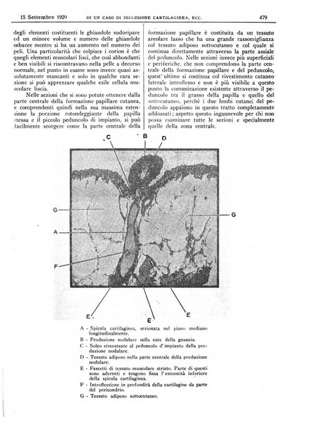 Pathologica rivista quindicinale