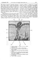 giornale/CFI0361052/1929/unico/00000555