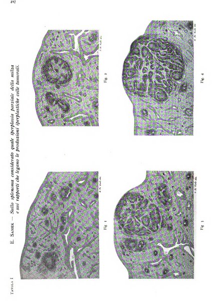 Pathologica rivista quindicinale