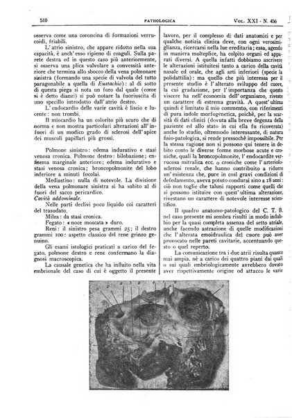 Pathologica rivista quindicinale