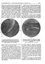 giornale/CFI0361052/1929/unico/00000639