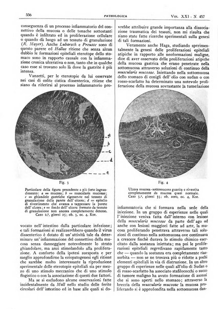 Pathologica rivista quindicinale