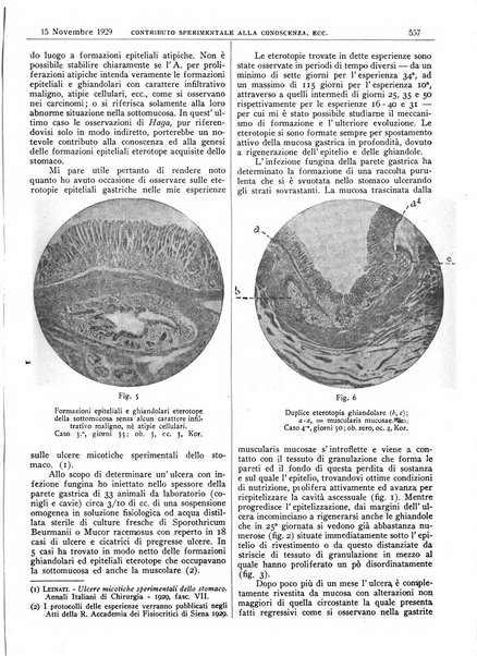 Pathologica rivista quindicinale