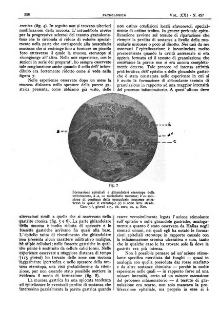 Pathologica rivista quindicinale