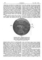 giornale/CFI0361052/1929/unico/00000642