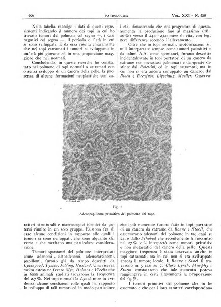 Pathologica rivista quindicinale