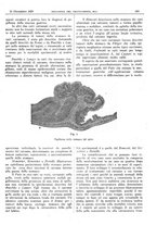 giornale/CFI0361052/1929/unico/00000697