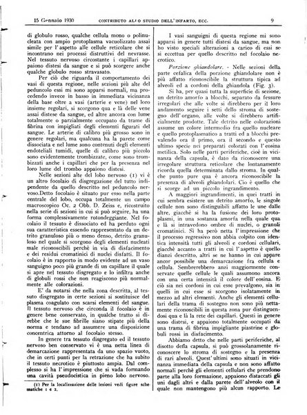 Pathologica rivista quindicinale