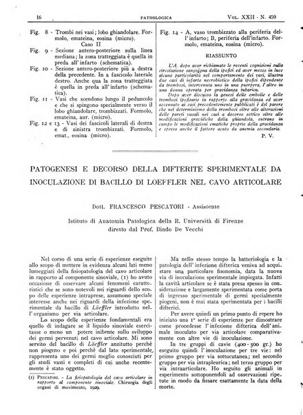 Pathologica rivista quindicinale