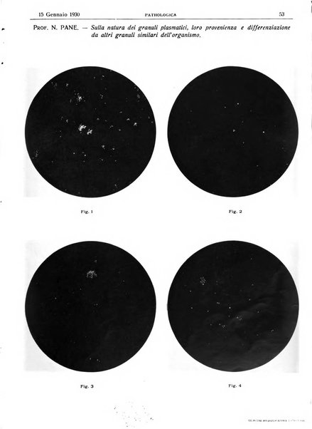 Pathologica rivista quindicinale