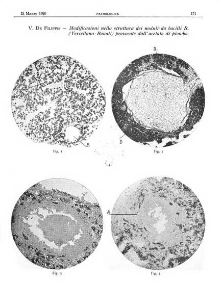 Pathologica rivista quindicinale