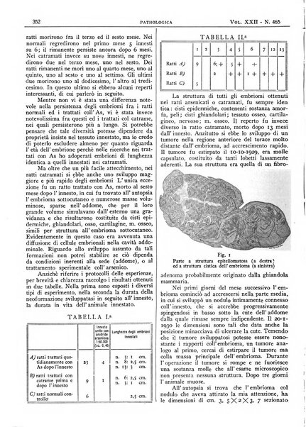 Pathologica rivista quindicinale