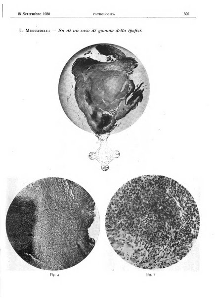 Pathologica rivista quindicinale