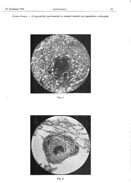 Pathologica rivista quindicinale