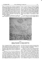 giornale/CFI0361052/1931/unico/00000127