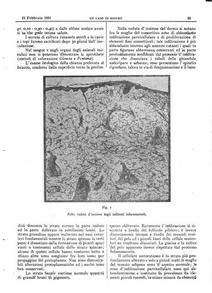 Pathologica rivista quindicinale