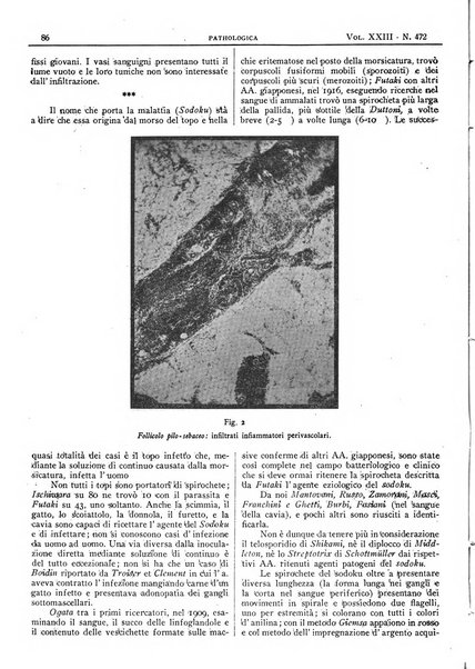 Pathologica rivista quindicinale