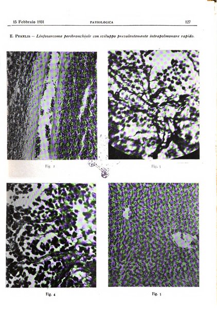 Pathologica rivista quindicinale