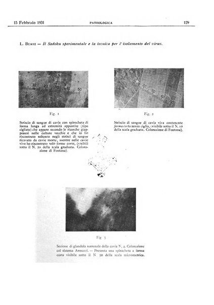 Pathologica rivista quindicinale