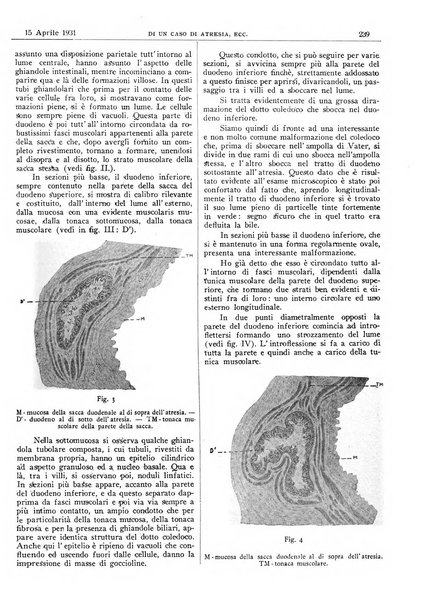 Pathologica rivista quindicinale