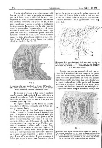 Pathologica rivista quindicinale