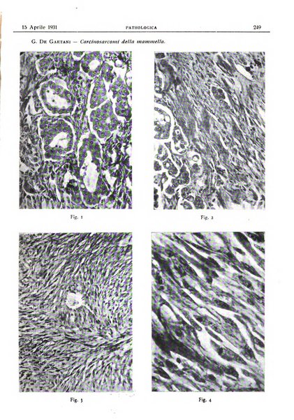 Pathologica rivista quindicinale