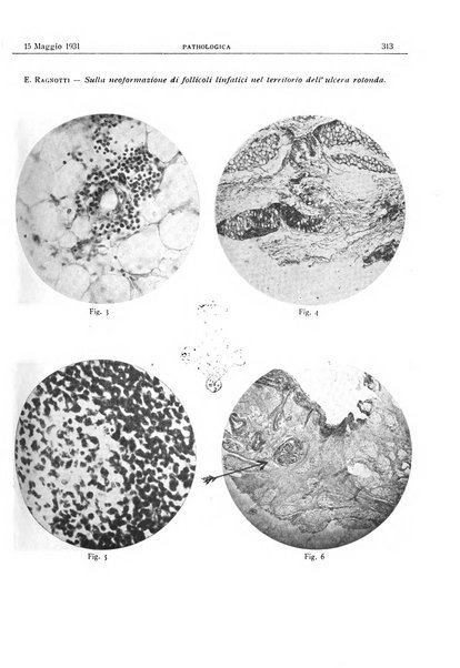 Pathologica rivista quindicinale