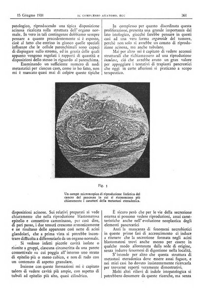 Pathologica rivista quindicinale