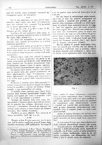 giornale/CFI0361052/1931/unico/00000490