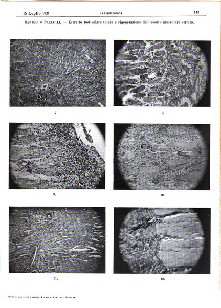 Pathologica rivista quindicinale