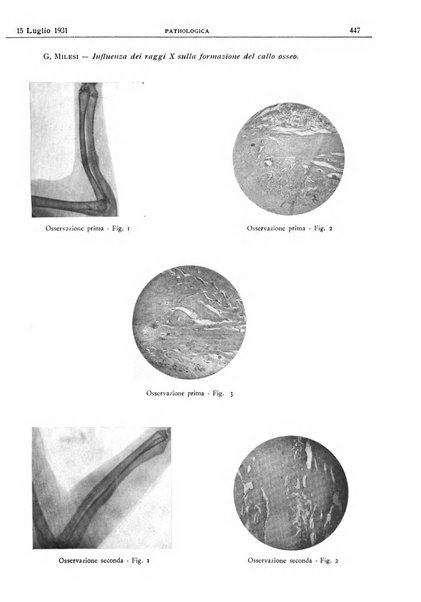 Pathologica rivista quindicinale