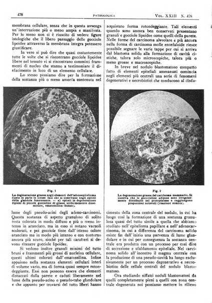 Pathologica rivista quindicinale