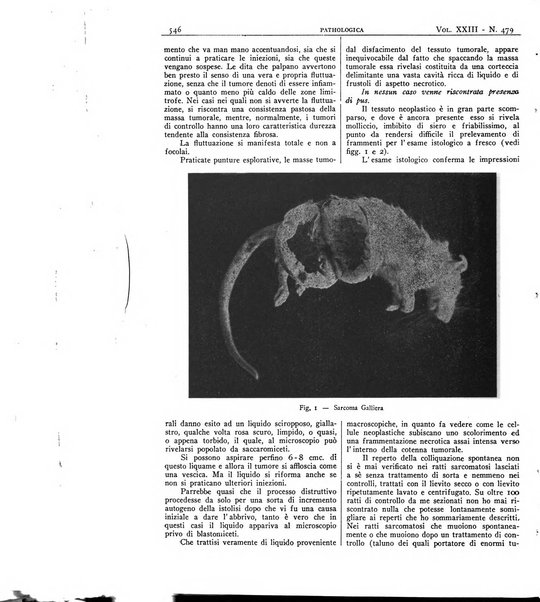 Pathologica rivista quindicinale