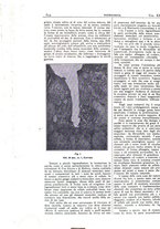 giornale/CFI0361052/1931/unico/00000740