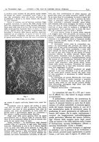 giornale/CFI0361052/1931/unico/00000745