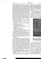 giornale/CFI0361052/1931/unico/00000750