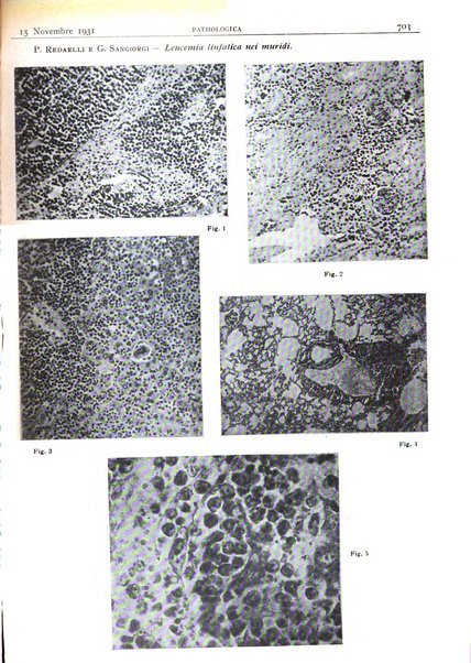 Pathologica rivista quindicinale