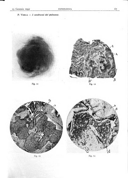 Pathologica rivista quindicinale